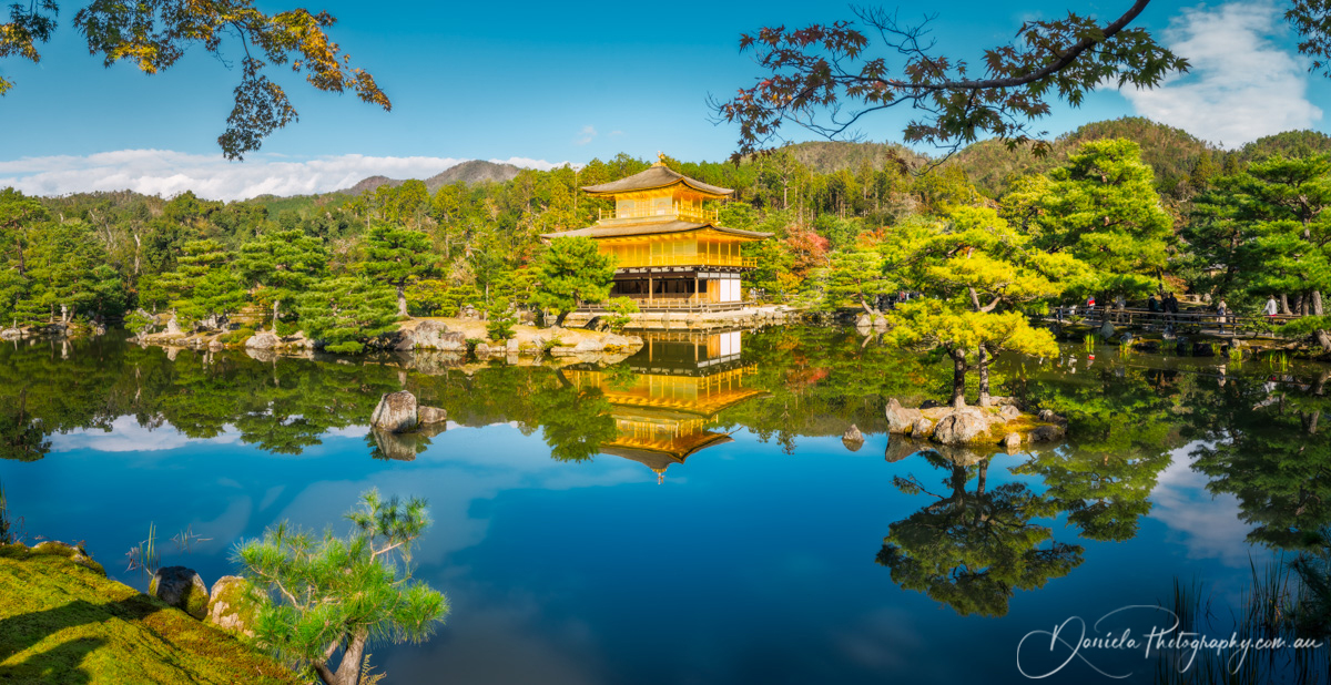 Autumn  Golden Pavilion Panorama in Kyoto Japan